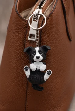 Alternative view of LLAVERO BORDER COLLIE